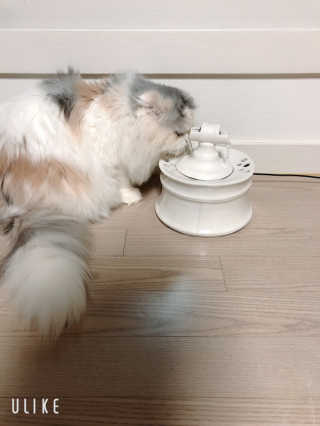 거니맘님이 올린 리뷰 사진 2