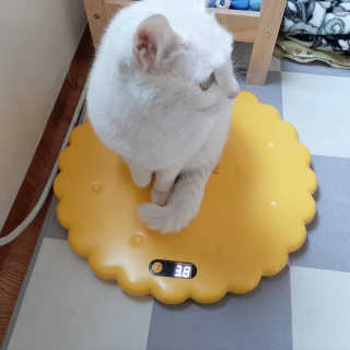 야키소바빵님이 올린 리뷰 사진 2