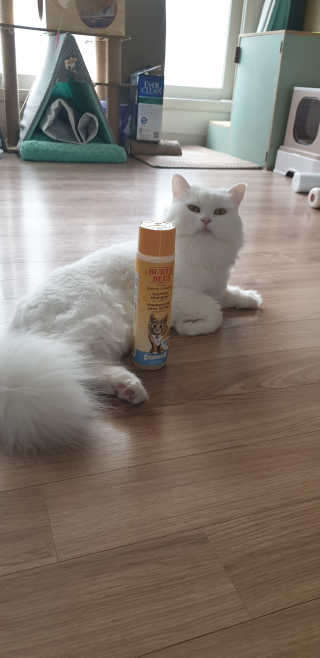 우동한그릇님이 올린 리뷰 사진 1