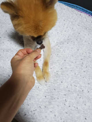 내니쭈님이 올린 리뷰 사진 4