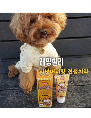 사랑해안시영님이 올린 리뷰 사진 1