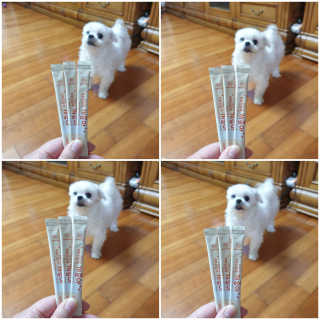 My Pet Care 모발과 모질 피부건강에 개좋아 — 5점을 준 리뷰어가 2020년 12월 올린 사용 사진