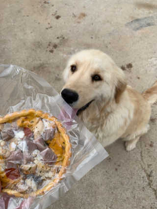 큐티윤님이 올린 리뷰 사진 4