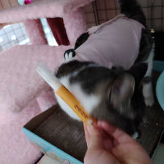 크크씨님이 올린 리뷰 사진 4