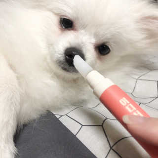더펫원츠 [5초양치] 멍.치카펜 or 냥.치카펜 or 치카오일펜 — 5점을 준 리뷰어가 2020년 5월 올린 사용 사진
