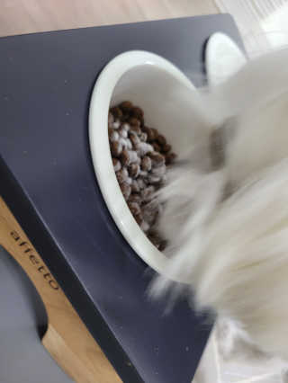 My Pet Care 모발과 모질 피부건강에 개좋아 — 5점을 준 리뷰어가 2020년 11월 올린 사용 사진