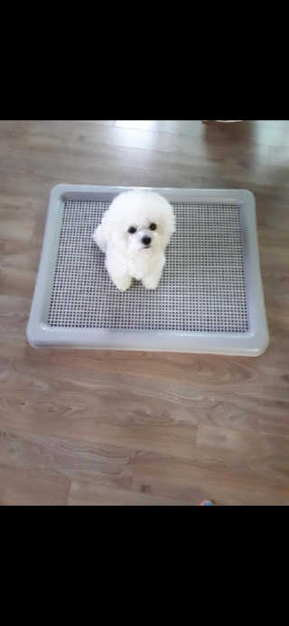 류하님이 올린 리뷰 사진 3