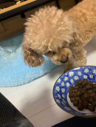 랑이님이 올린 리뷰 사진 3
