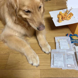 아보카도올리브님이 올린 리뷰 사진 3