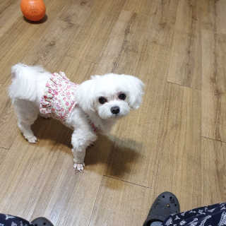 수니니님이 올린 리뷰 사진 4