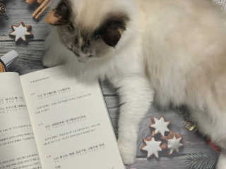 시묘님이 올린 리뷰 사진 2