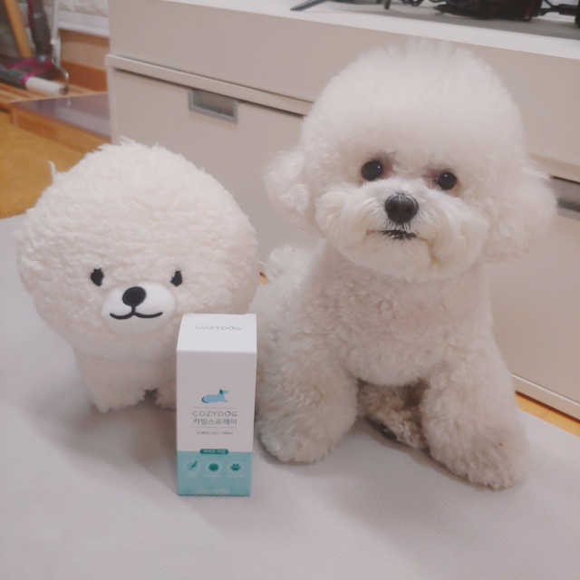 코지독 카밍스프레이 100ml 리뷰 사진
