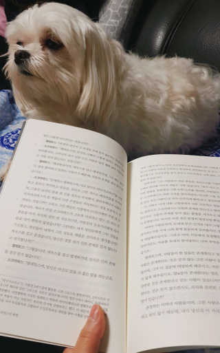 현대지성 소크라테스의 변명·크리톤·파이돈·향연 — 5점을 준 리뷰어가 2020년 4월 올린 사용 사진