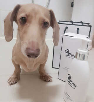 예민한 피부를 위한 코코몰리 All in one 자연유래 샴푸 — 5점을 준 리뷰어가 2020년 7월 올린 사용 사진
