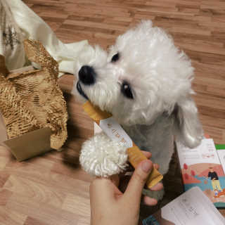 조아름님이 올린 리뷰 사진 4