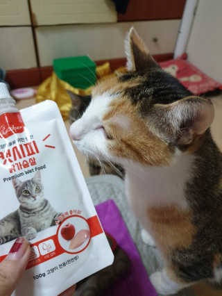 뚜디지롱님이 올린 리뷰 사진 2