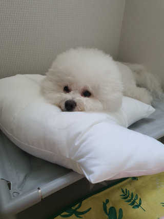 hyun♡님이 올린 리뷰 사진 3