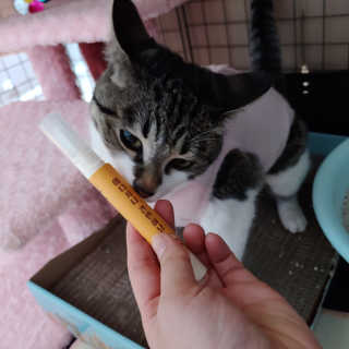크크씨님이 올린 리뷰 사진 2