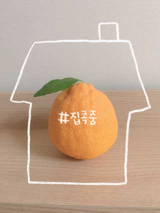 조은약초 자몽 오렌지 복합물 추출물 과라나 나린진 큐어 — 5점을 준 리뷰어가 2020년 4월 올린 사용 사진