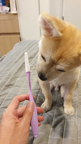 좋아님이 올린 리뷰 사진 1