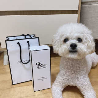 예민한 피부를 위한 코코몰리 All in one 자연유래 샴푸 — 5점을 준 리뷰어가 2020년 12월 올린 사용 사진