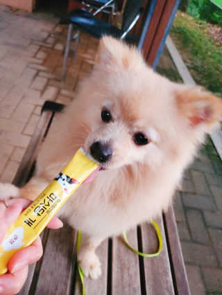 으콩님이 올린 리뷰 사진 1