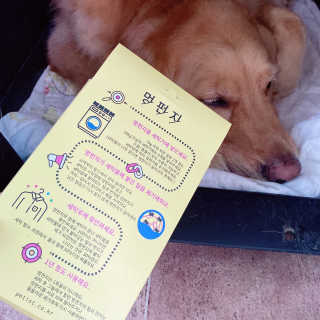 아보카도올리브님이 올린 리뷰 사진 3