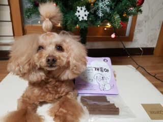 My Pet Care 천연단백질 치아건강에 개좋아 — 5점을 준 리뷰어가 2020년 12월 올린 사용 사진
