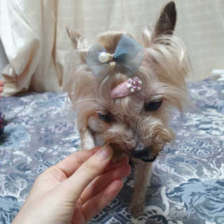 솜희님이 올린 리뷰 사진 4