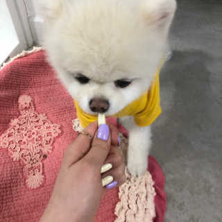 MinAKim님이 올린 리뷰 사진 3