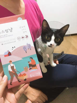 심정님이 올린 리뷰 사진 4