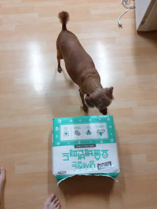 긍정미뇽님이 올린 리뷰 사진 1