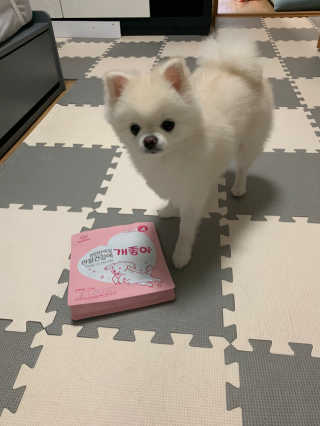 My Pet Care 천연단백질 관절건강에 개좋아 — 5점을 준 리뷰어가 2020년 12월 올린 사용 사진