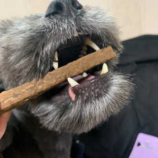 My Pet Care 천연단백질 치아건강에 개좋아 — 5점을 준 리뷰어가 2020년 12월 올린 사용 사진