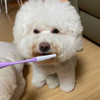 서라님이 올린 리뷰 사진 3