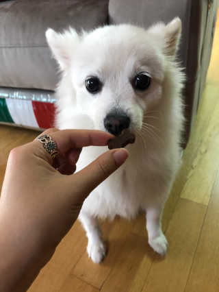 펭하하님이 올린 리뷰 사진 4