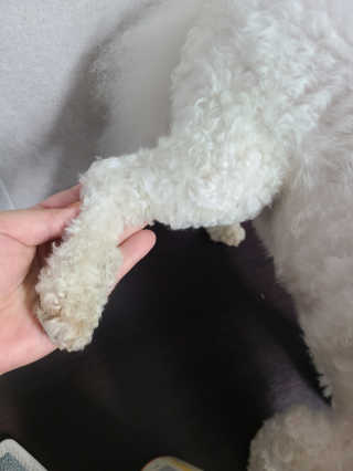 Claire님이 올린 리뷰 사진 2