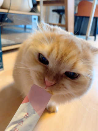 아라님이 올린 리뷰 사진 1