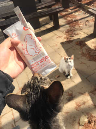 My Pet Care 모발과 모질 피부건강에 개좋아 — 5점을 준 리뷰어가 2020년 11월 올린 사용 사진