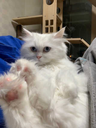례진님이 올린 리뷰 사진 3