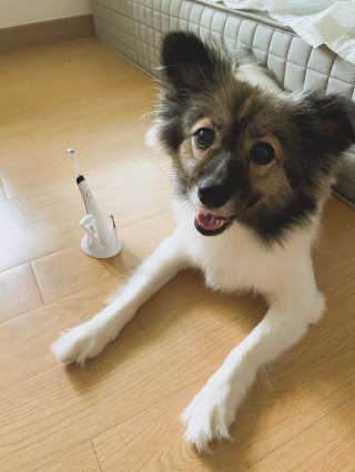 hing20님이 올린 리뷰 사진 1