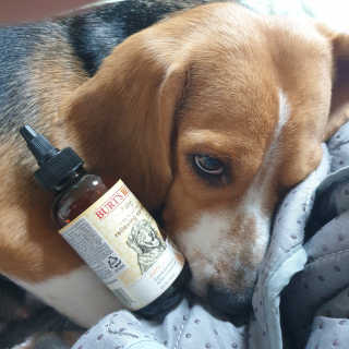 beaglelove님이 올린 리뷰 사진 1