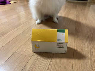 lowyr님이 올린 리뷰 사진 2