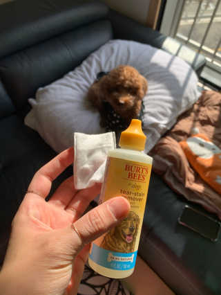 투밍님이 올린 리뷰 사진 2