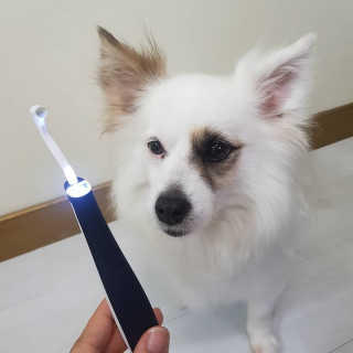 에일린님이 올린 리뷰 사진 2