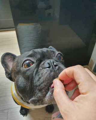 My Pet Care 천연단백질 관절건강에 개좋아 — 4점을 준 리뷰어가 2020년 12월 올린 사용 사진