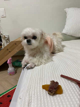 단발소녀님이 올린 리뷰 사진 3