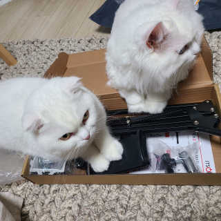 논지님이 올린 리뷰 사진 2
