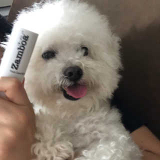 HAY님이 올린 리뷰 사진 2