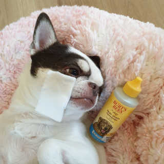 mini unni님이 올린 리뷰 사진 1